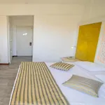 Ata Lagoon 3*