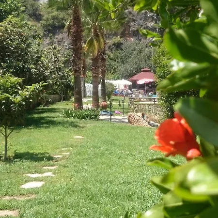 Ata Lagoon מלון 3*