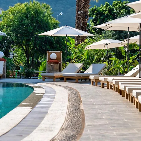 Ata Lagoon 3*